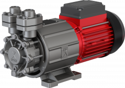 Regeneratiivse turbiinipumba Speck Pump CY-4281-MK-HT